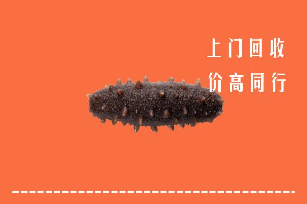 肇庆高价回收海参